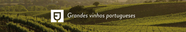 banners6