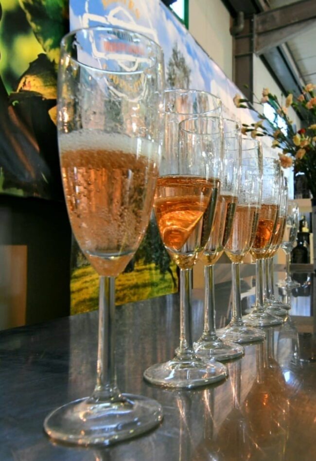 487116421_9708718365844888_1023025375998593186_n